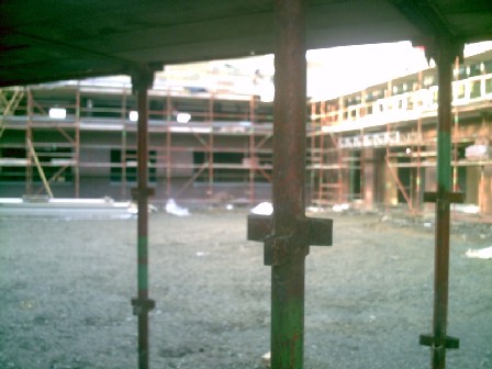 New School Site on November 2008